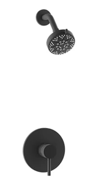 Baril ZIP B66 shower head and control in a matte black finish.