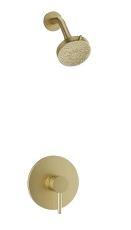 Baril ZIP B66 shower head and control in a satin brass finish.